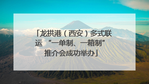 龙拱港（西安）多式联运 “一单制、一箱制” 推介会成功举办