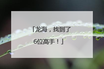 龙海，找到了6位高手！