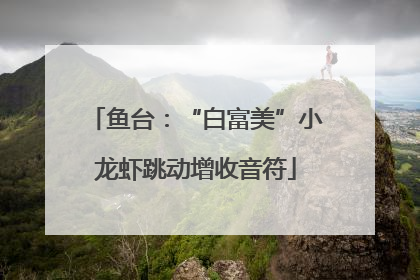 鱼台：“白富美”小龙虾跳动增收音符