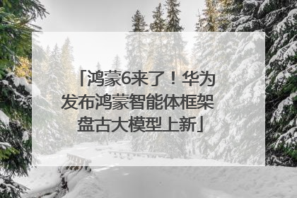鸿蒙6来了！华为发布鸿蒙智能体框架 盘古大模型上新