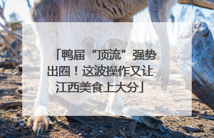 鸭届“顶流”强势出圈！这波操作又让江西美食上大分