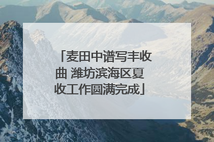 麦田中谱写丰收曲 潍坊滨海区夏收工作圆满完成