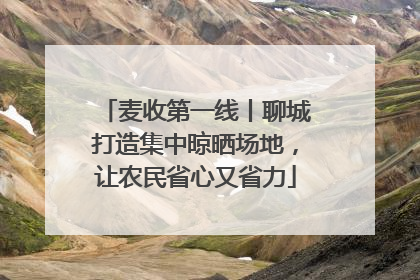 麦收第一线丨聊城打造集中晾晒场地，让农民省心又省力