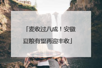 麦收过八成！安徽夏粮有望再迎丰收