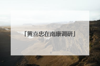 黄喜忠在南康调研