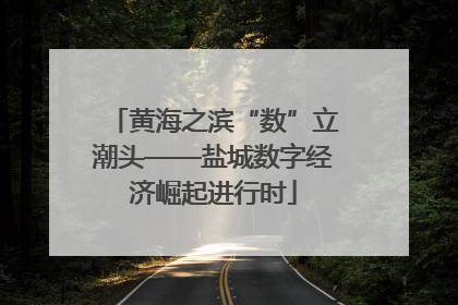 黄海之滨“数”立潮头——盐城数字经济崛起进行时
