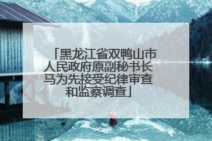 黑龙江省双鸭山市人民政府原副秘书长马为先接受纪律审查和监察调查