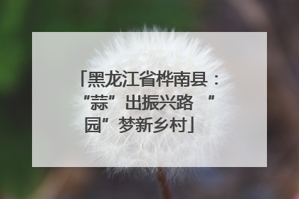 黑龙江省桦南县：“蒜”出振兴路 “园”梦新乡村