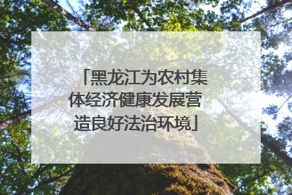 黑龙江为农村集体经济健康发展营造良好法治环境