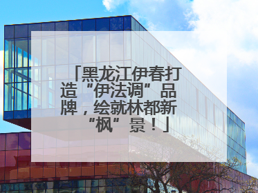 黑龙江伊春打造“伊法调”品牌，绘就林都新“枫”景！
