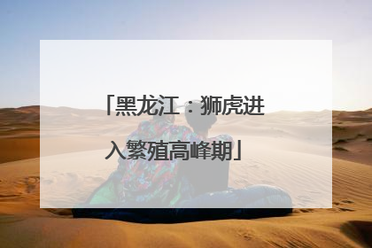 黑龙江：狮虎进入繁殖高峰期