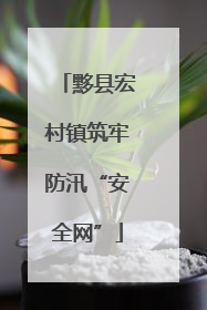 黟县宏村镇筑牢防汛“安全网”