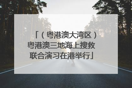 （粤港澳大湾区）粤港澳三地海上搜救联合演习在港举行