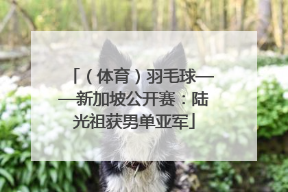 （体育）羽毛球——新加坡公开赛：陆光祖获男单亚军