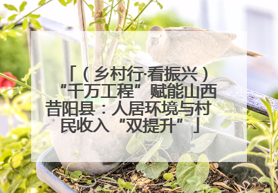 （乡村行·看振兴）“千万工程”赋能山西昔阳县：人居环境与村民收入“双提升”