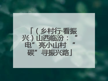 （乡村行·看振兴）山西临汾：“电”亮小山村 “碳”寻振兴路