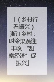（乡村行·看振兴）浙江乡村：时令果蔬迎丰收 “甜蜜经济”促振兴