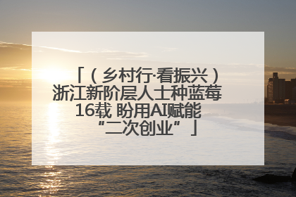 （乡村行·看振兴）浙江新阶层人士种蓝莓16载 盼用AI赋能“二次创业”