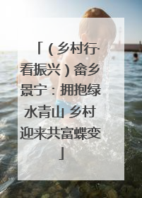 （乡村行·看振兴）畲乡景宁：拥抱绿水青山 乡村迎来共富蝶变