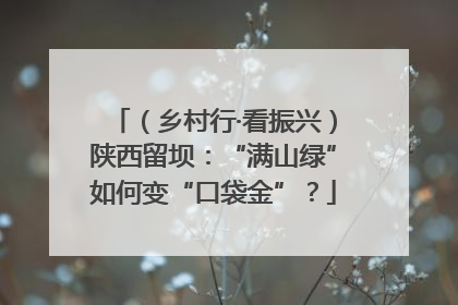 （乡村行·看振兴）陕西留坝：“满山绿”如何变“口袋金”？