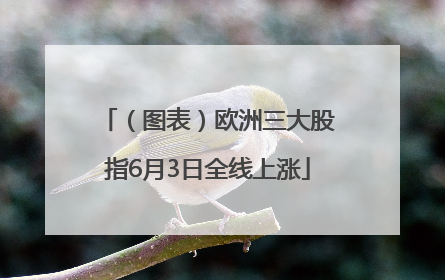 （图表）欧洲三大股指6月3日全线上涨