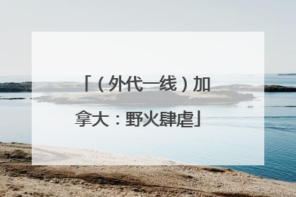 （外代一线）加拿大：野火肆虐