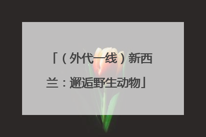（外代一线）新西兰：邂逅野生动物