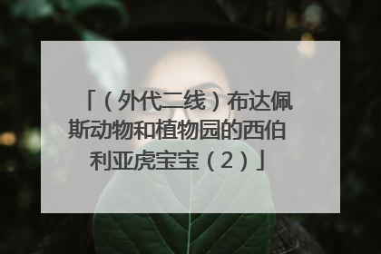（外代二线）布达佩斯动物和植物园的西伯利亚虎宝宝（2）