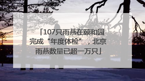 107只雨燕在颐和园完成“年度体检”，北京雨燕数量已超一万只