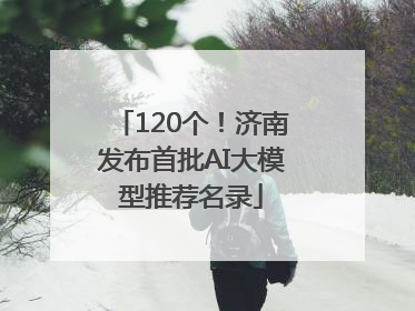 120个！济南发布首批AI大模型推荐名录