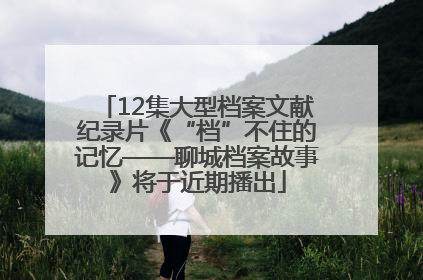 12集大型档案文献纪录片《“档”不住的记忆——聊城档案故事》将于近期播出