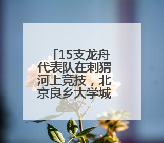 15支龙舟代表队在刺猬河上竞技，北京良乡大学城举办龙舟赛