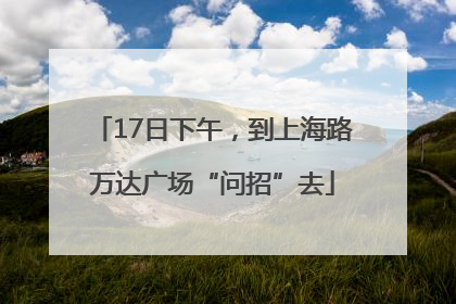 17日下午，到上海路万达广场“问招”去
