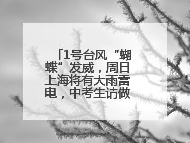 1号台风“蝴蝶”发威，周日上海将有大雨雷电，中考生请做好防范准备