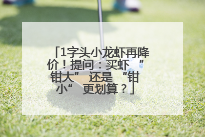 1字头小龙虾再降价！提问：买虾 “钳大” 还是 “钳小” 更划算？