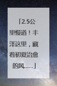 2.5公里慢道！丰泽这里，藏着初夏治愈的风……