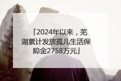 2024年以来，芜湖累计发放孤儿生活保障金2758万元