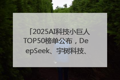 2025AI科技小巨人TOP50榜单公布，DeepSeek、宇树科技、蘑菇车联等企业荣誉上榜
