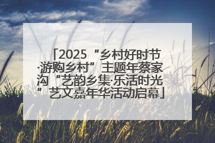 2025“乡村好时节·游购乡村”主题年蔡家沟“艺韵乡集·乐活时光”艺文嘉年华活动启幕