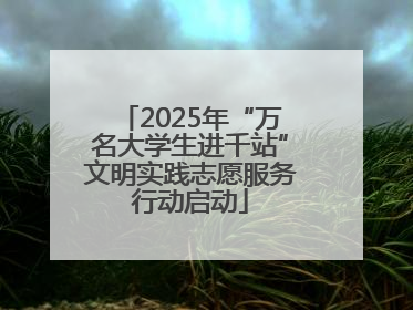 2025年“万名大学生进千站”文明实践志愿服务行动启动