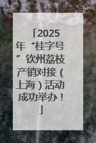 2025年“桂字号”钦州荔枝产销对接（上海）活动成功举办！