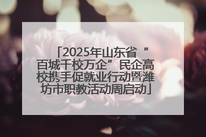 2025年山东省“百城千校万企”民企高校携手促就业行动暨潍坊市职教活动周启动