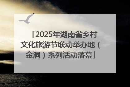 2025年湖南省乡村文化旅游节联动举办地（金洞）系列活动落幕