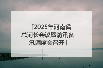 2025年河南省总河长会议暨防汛备汛调度会召开