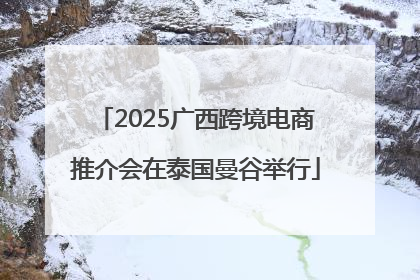 2025广西跨境电商推介会在泰国曼谷举行