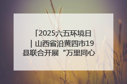 2025六五环境日｜山西省沿黄四市19县联合开展“万里同心，共护黄河”环保志愿者助力一泓清水入黄河公益活动