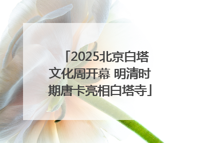 2025北京白塔文化周开幕 明清时期唐卡亮相白塔寺