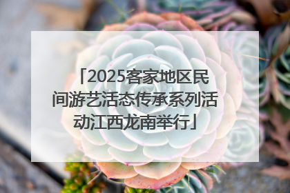 2025客家地区民间游艺活态传承系列活动江西龙南举行