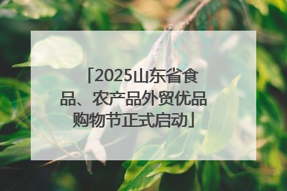 2025山东省食品、农产品外贸优品购物节正式启动