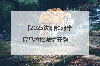 2025沈阳和河半程马拉松激情开跑